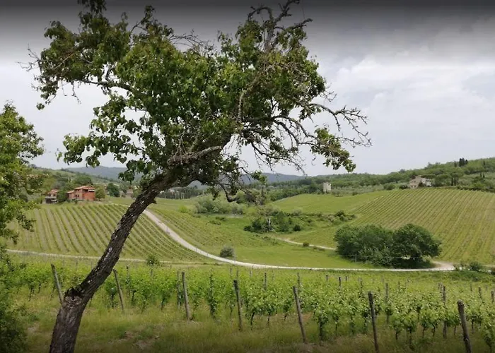 Le Vigne 乡村民宿 *