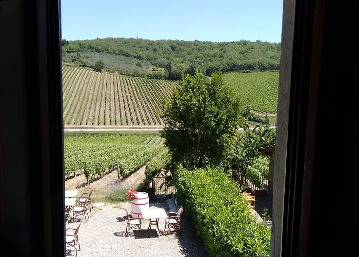 Le Vigne